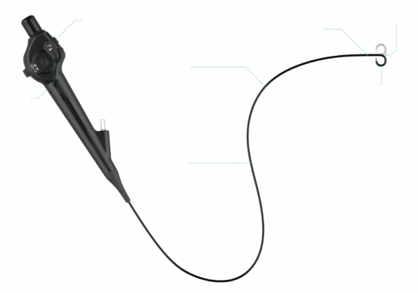 Ureteroscopy Clinical Applications Ureteroscopy Clinical Applications