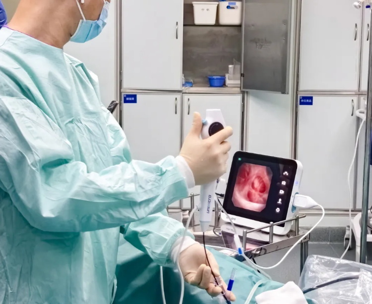 Top Endoscopy System Manufacturers and Suppliers in Spain